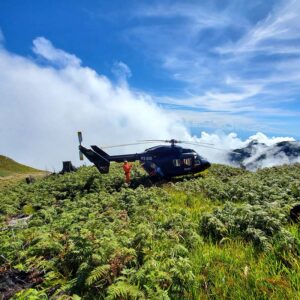 Site and Needs Assessments